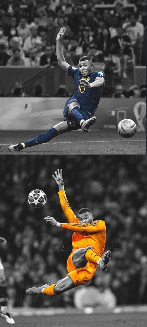 上海新援加盟引发关注